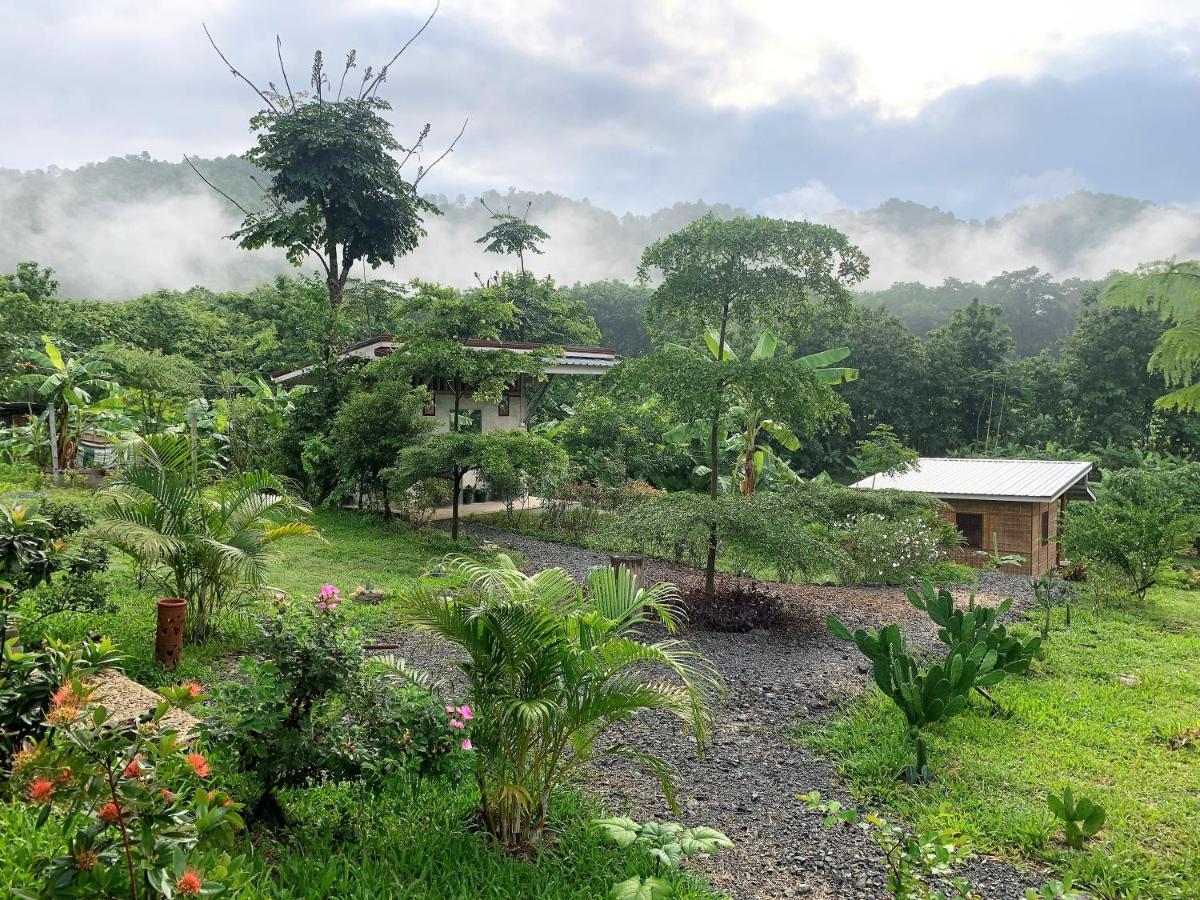 True Nature Chiang Mai - Yoga & Meditation Homestay Retreat 외부 사진