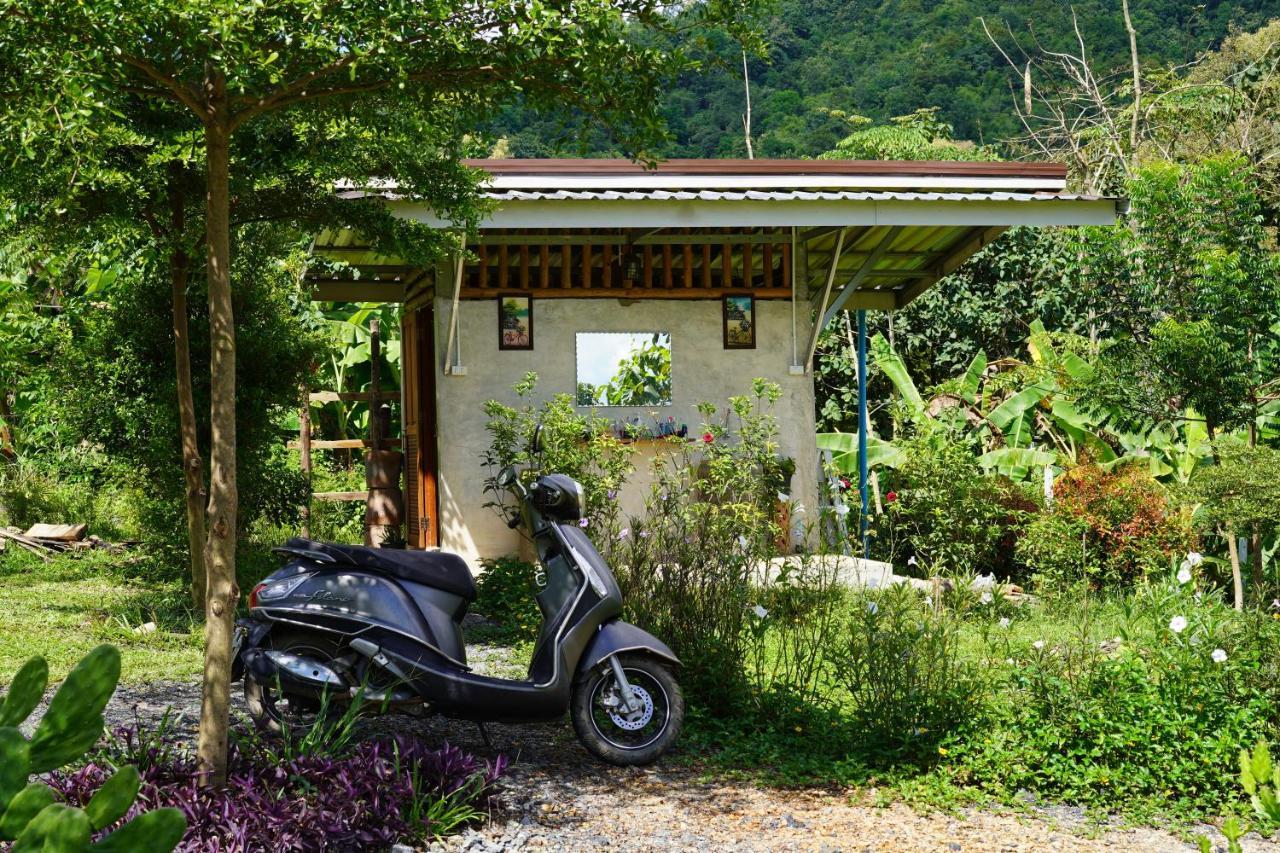 True Nature Chiang Mai - Yoga & Meditation Homestay Retreat 외부 사진