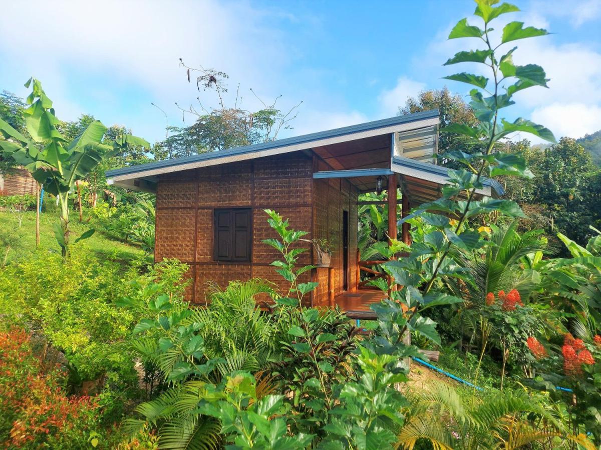 True Nature Chiang Mai - Yoga & Meditation Homestay Retreat 외부 사진
