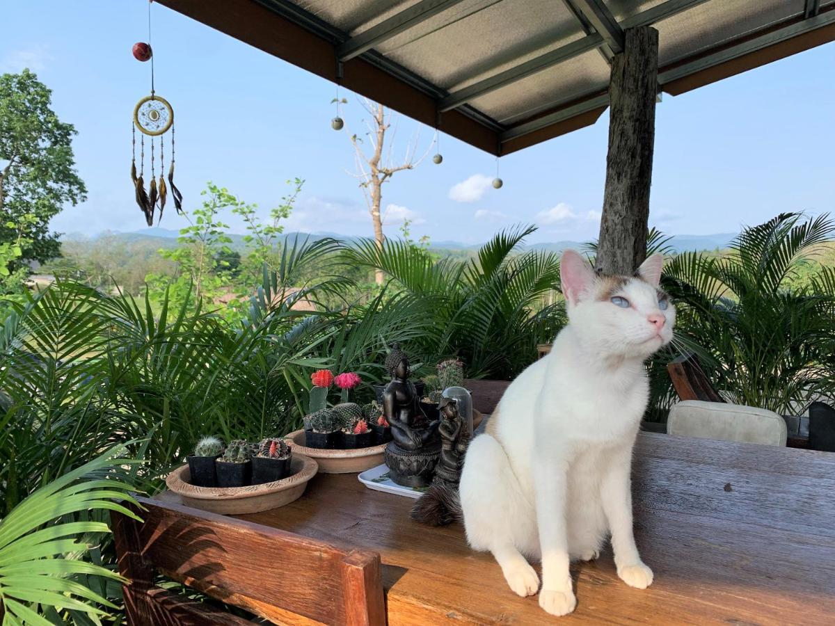 True Nature Chiang Mai - Yoga & Meditation Homestay Retreat 외부 사진