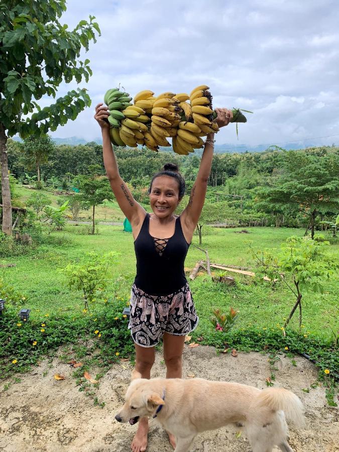 True Nature Chiang Mai - Yoga & Meditation Homestay Retreat 외부 사진