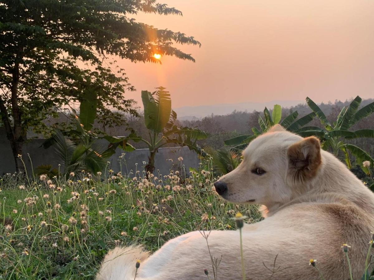 True Nature Chiang Mai - Yoga & Meditation Homestay Retreat 외부 사진