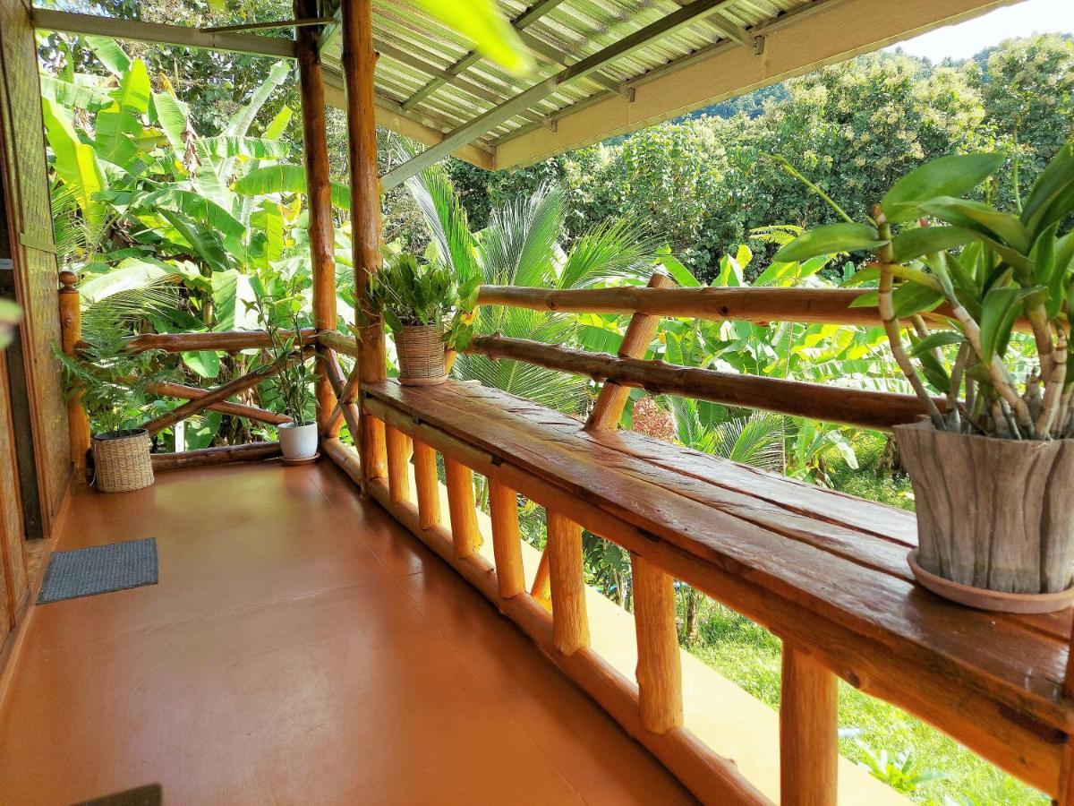 True Nature Chiang Mai - Yoga & Meditation Homestay Retreat 외부 사진