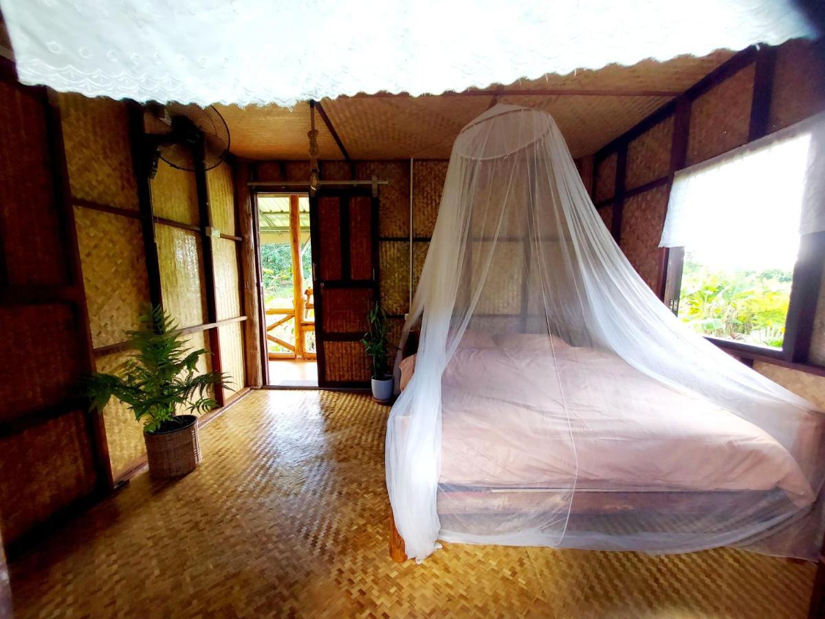 True Nature Chiang Mai - Yoga & Meditation Homestay Retreat 외부 사진